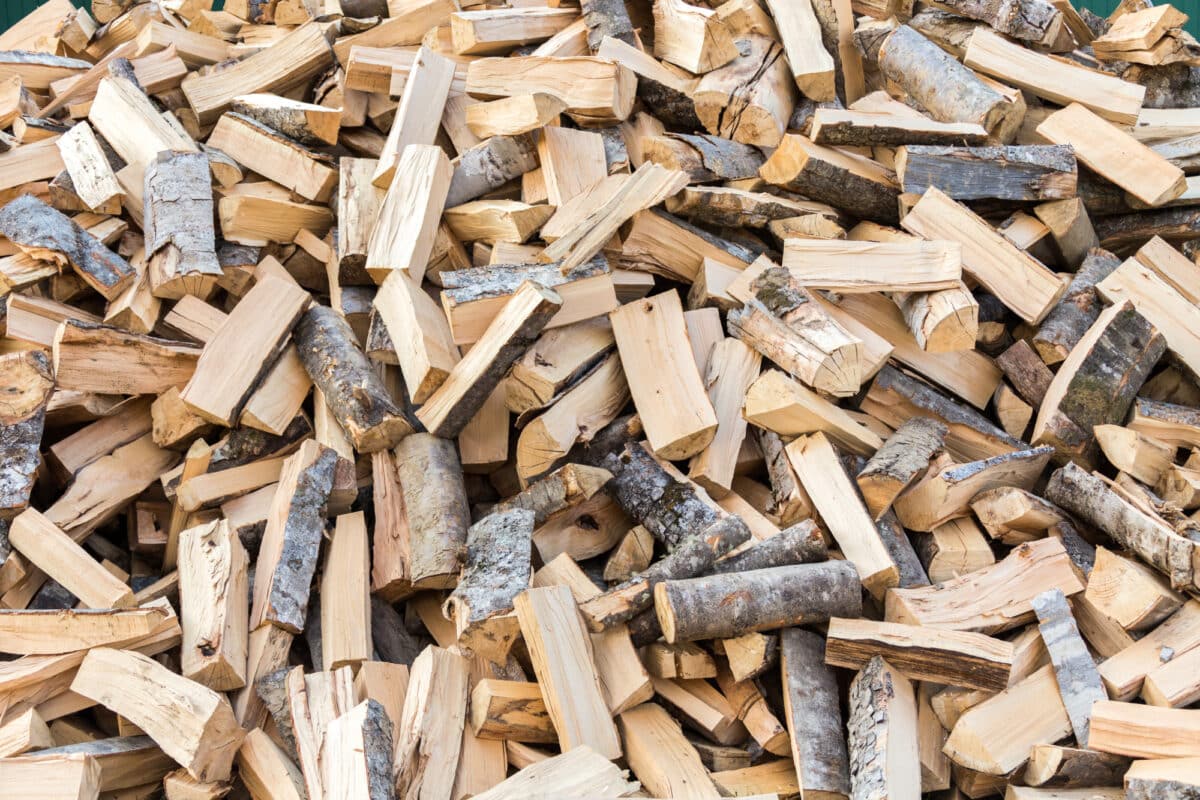 La première étape vers un feu parfait : choisir le meilleur bois de chauffage