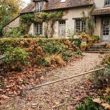 Jardin d'automne couvert de feuilles mortes, avec une brouette et un râteau posé sur l'allée de gravier