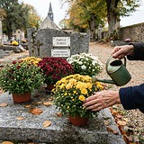 Femme âgée arrosant des chrysanthèmes jaunes, bordeaux et blancs posés sur une tombe en granit, à l'automne